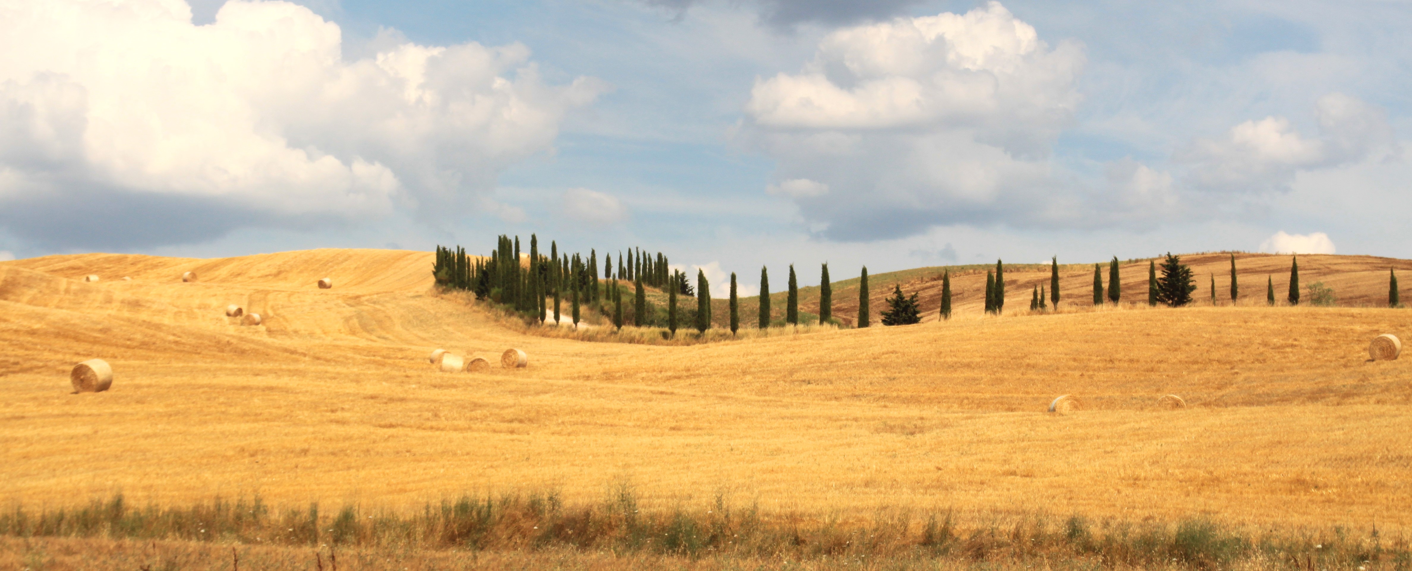 Naturlandschaft für Coaching - Inspirierende Umgebung