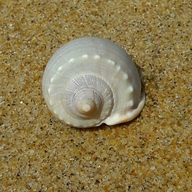 Natur als Inspiration