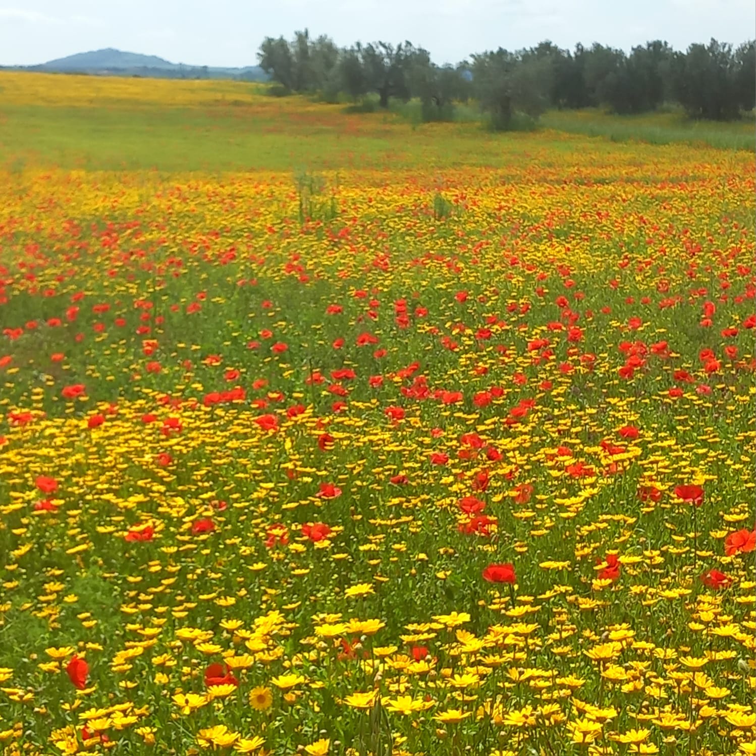 Vielfältige Natur - Verschiedene Angebote