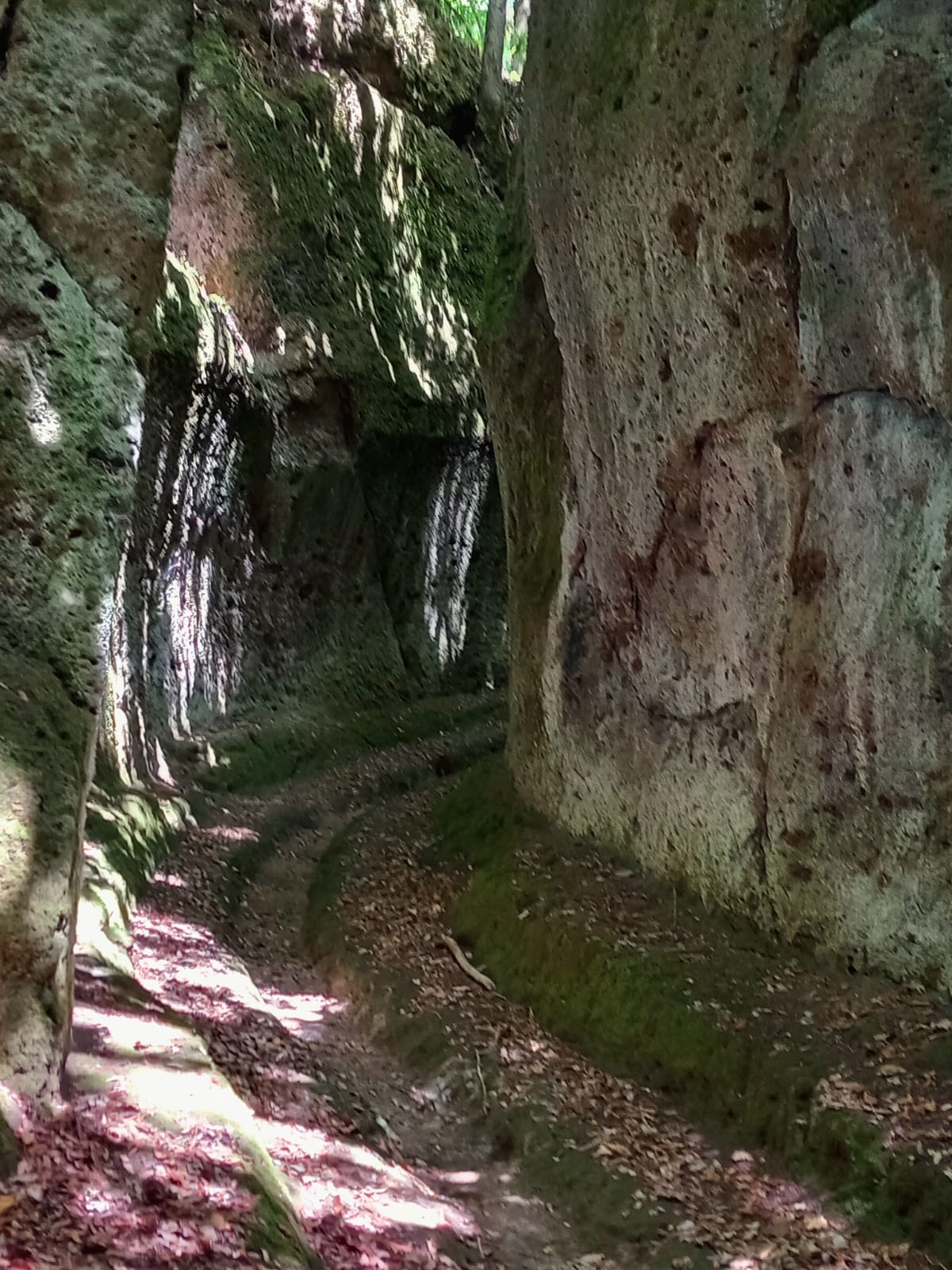 Neuer Weg in der Natur - Neue Perspektiven entdecken