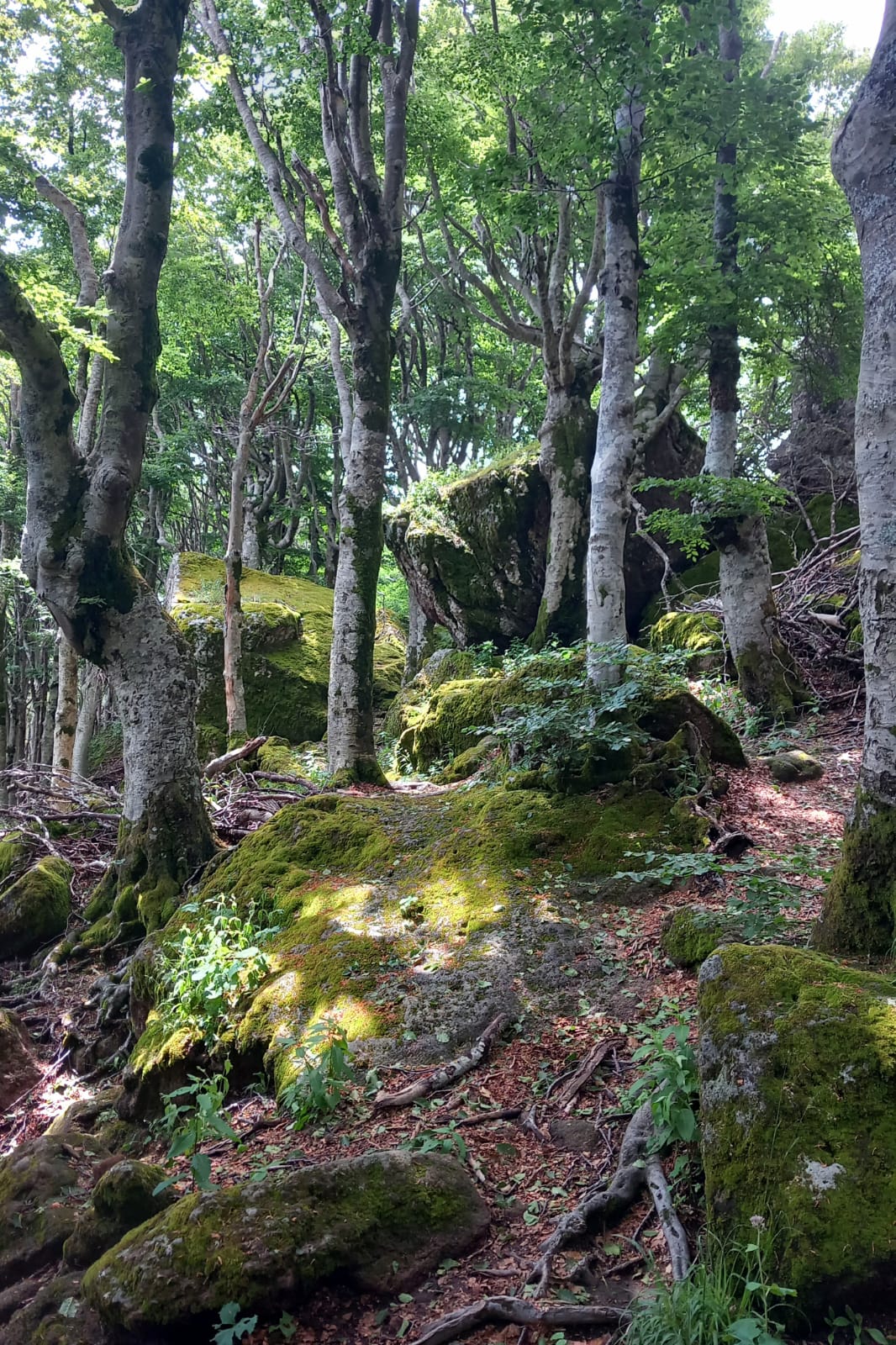 Systemischer Ansatz - Ganzheitliche Betrachtung